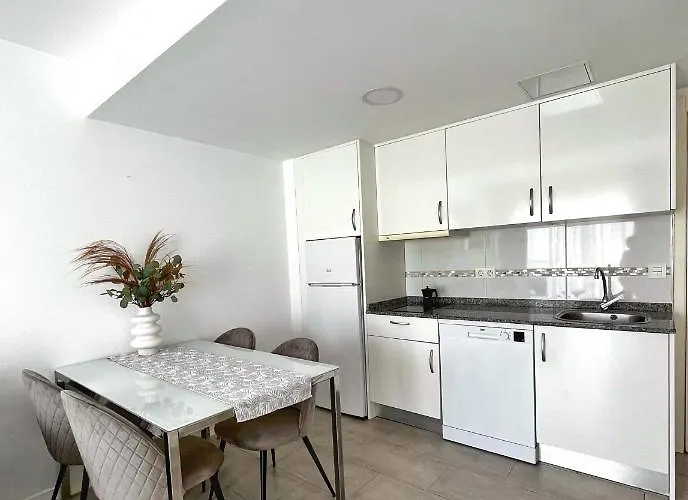 Bristol Palmeras * コラレホ